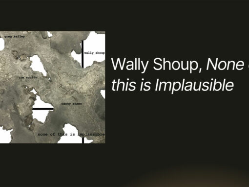 Wally Shoup, None of this is Implausible