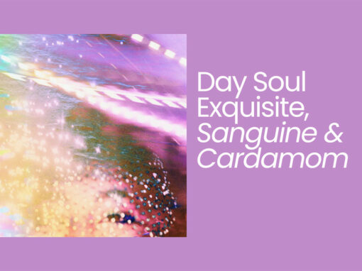 Day Soul Exquisite, Sanguine & Cardamom